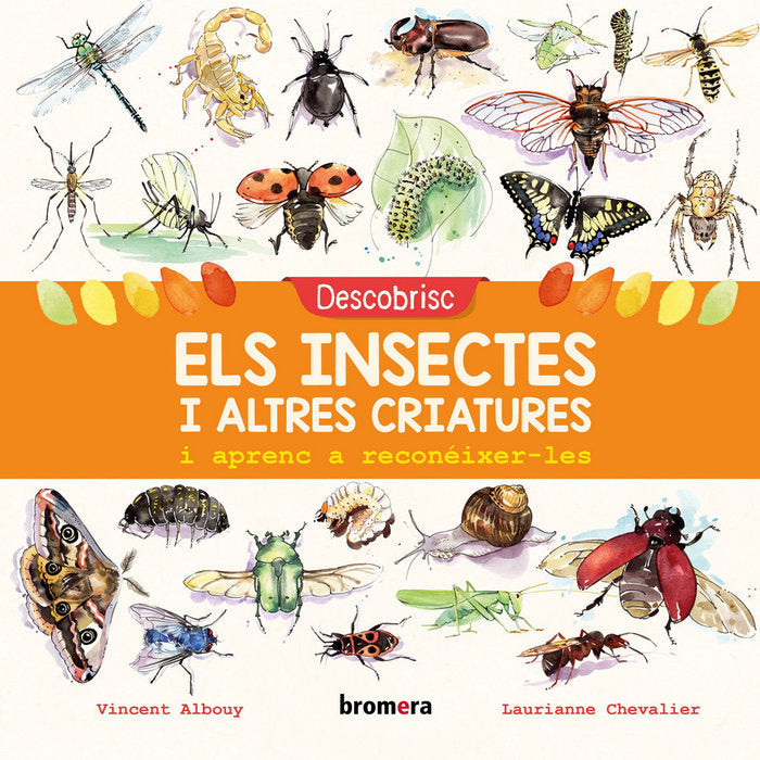 Descobrisc els insectes i altres criatures i aprenc a reconéixer-les, de Albouy, Vincent | portada del libro