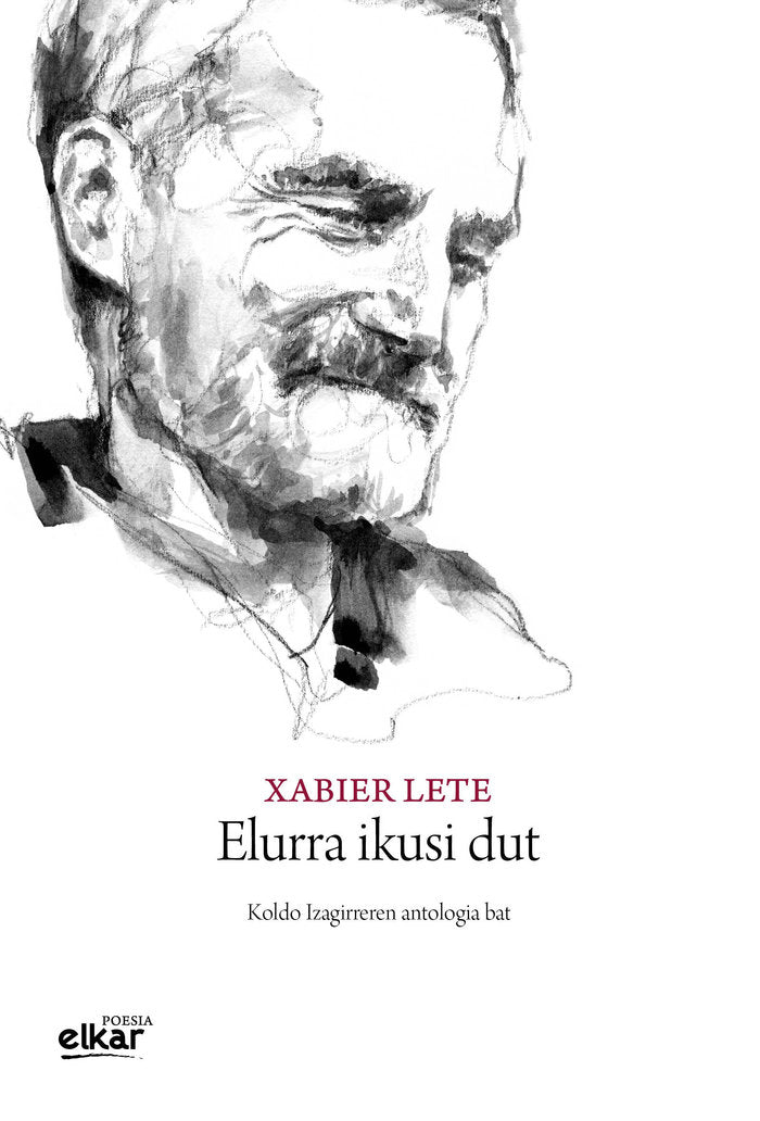 Elurra ikusi dut, de Lete Bergaretxe, Xabier | portada del libro
