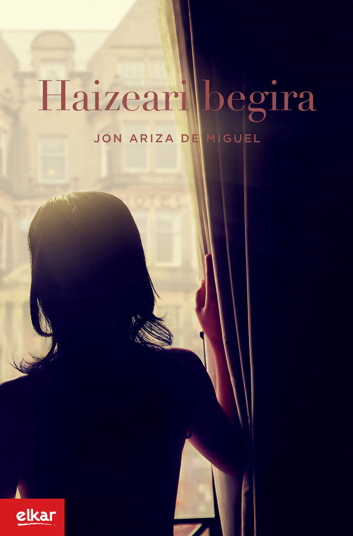 Haizeari begira, de Ariza De Miguel, Jon | portada del libro