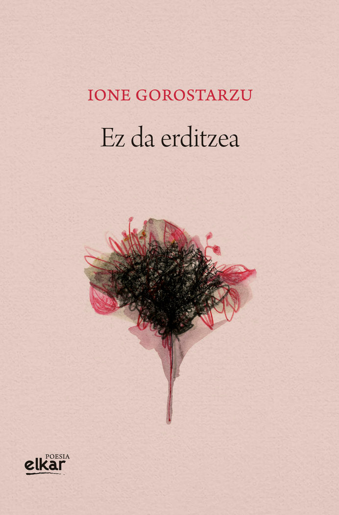 Irautera, de Suarez Garcia, Castillo | portada del libro