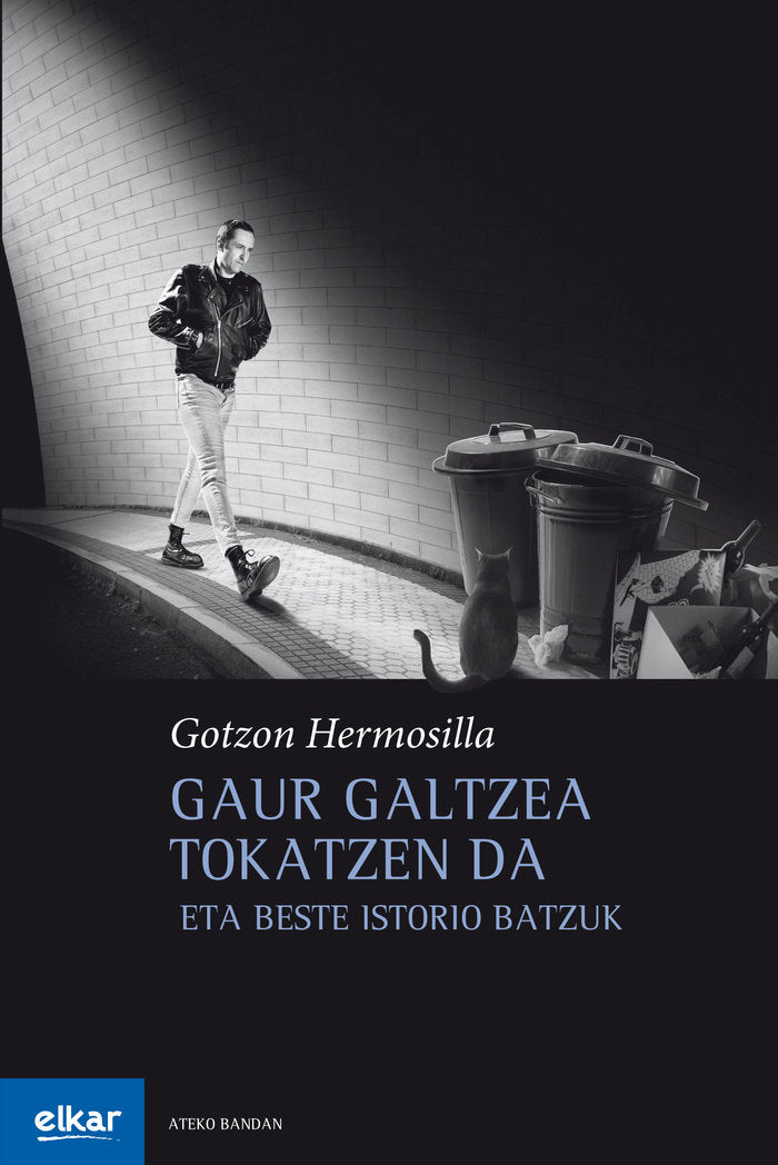Gaur galtzea tokatzen da, de Hermosilla Bermejo, Gotzon | portada del libro