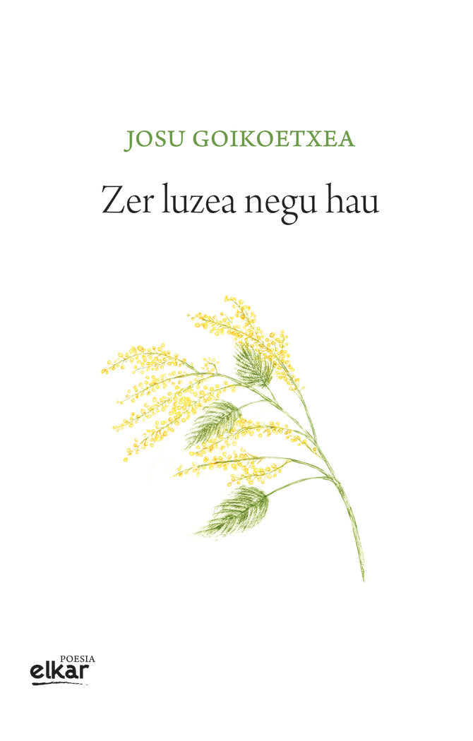 Zer luzea negu hau, de Goikoetxea Gezuraga, Josu | portada del libro
