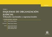 Esquemas de organización judicial I, de ARNAIZ SERRANO, AMAYA ... | portada del libro