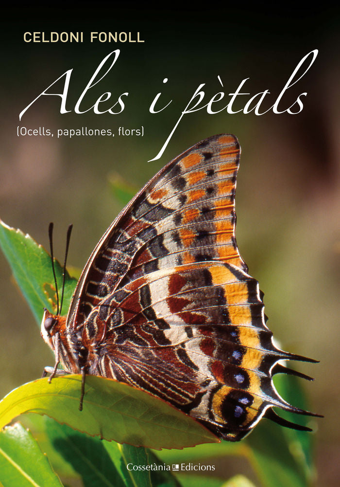 ALES I PèTALS, de FONOLL I CASANOVES, CELDONI | portada del libro