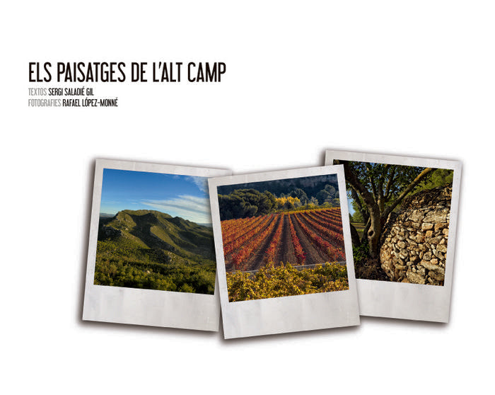 ELS PAISATGES DE L'ALT CAMP, de SALADIé I GIL, SERGI | portada del libro