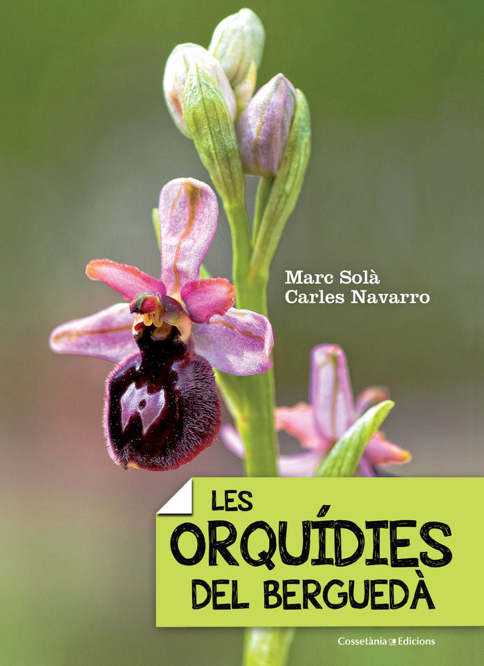 LES ORQUíDIES DEL BERGUEDà, de SOLà, MARC | portada del libro