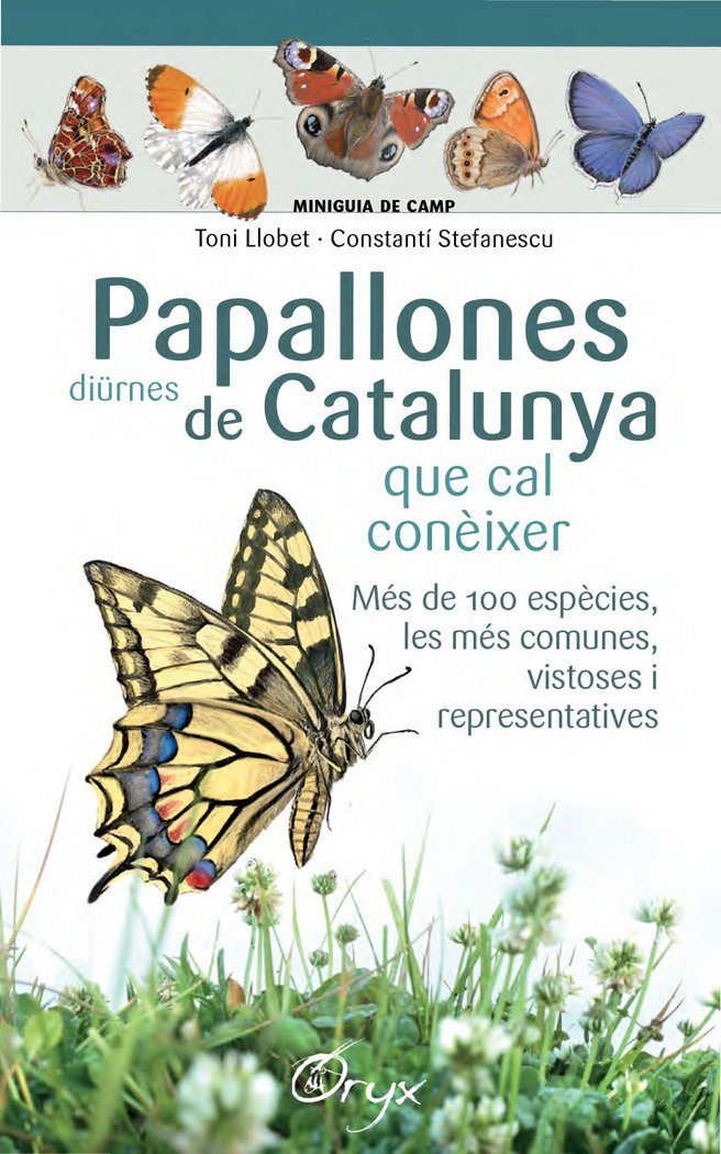 Papallones diürnes de Catalunya, de Stefanescu, Constantí | portada del libro