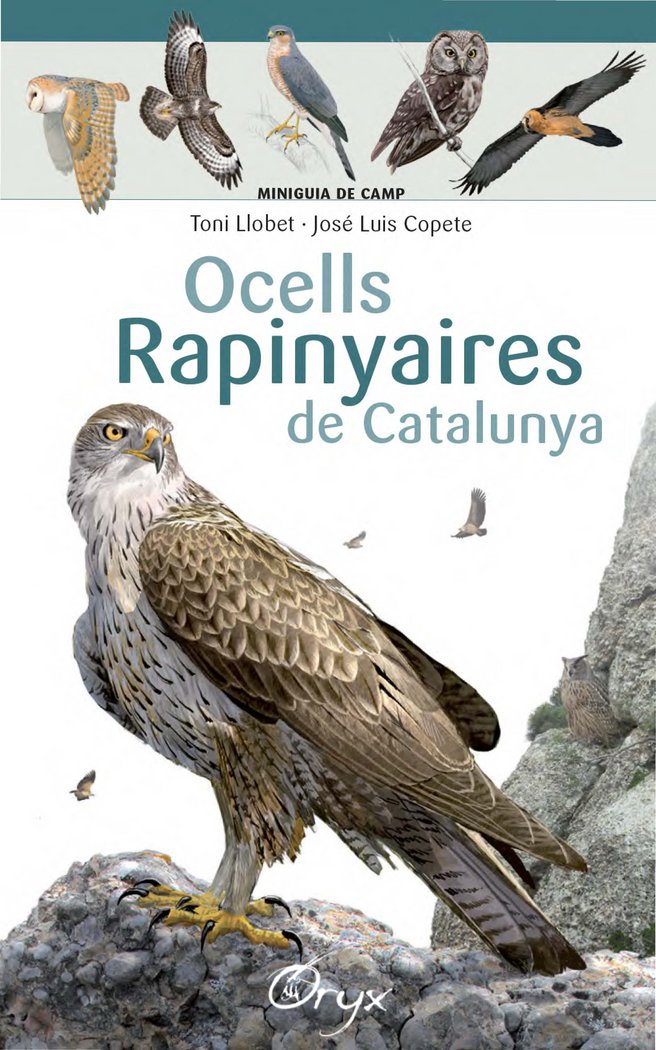 Ocells rapinyaires de Catalunya, de Llobet François, Toni | portada del libro