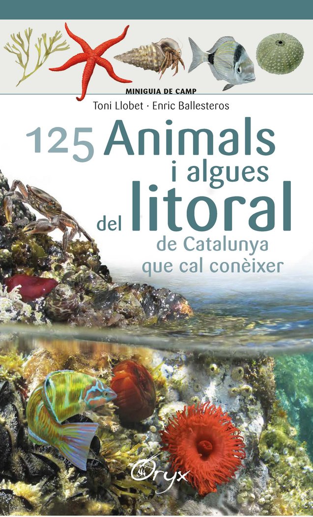 125 animals i algues del litoral de Catalunya, de Ballesteros Sagarra, Enric | portada del libro
