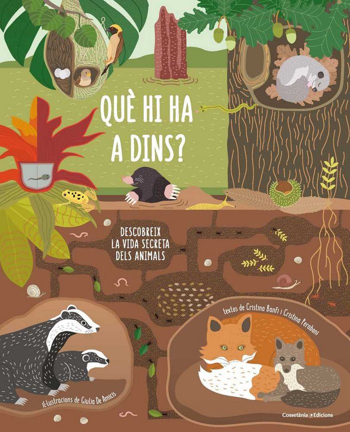Què hi ha a dins?, de Banfi, Cristina | portada del libro