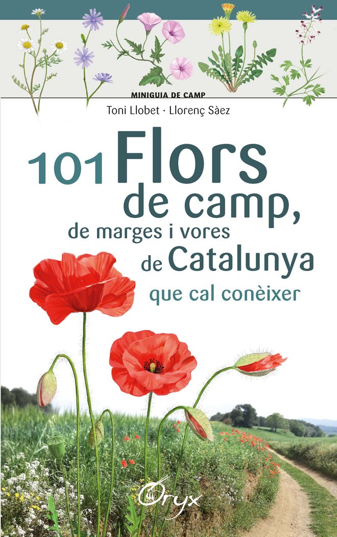 101 flors de camp, de marges i vores de Catalunya, de Sàez Goñalons, Llorenç | portada del libro