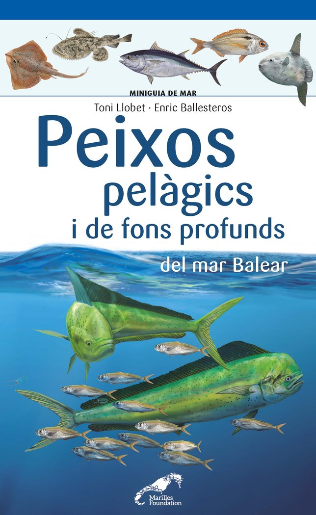 Peixos pelàgics i de fons profunds del mar Balear, de Ballesteros Sagarra, Enric | portada del libro