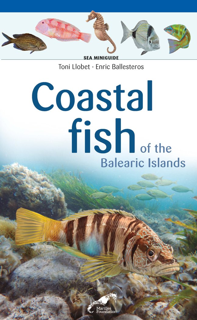 Coastal fish of the Balearic Islands, de Ballesteros Sagarra, Enric | portada del libro