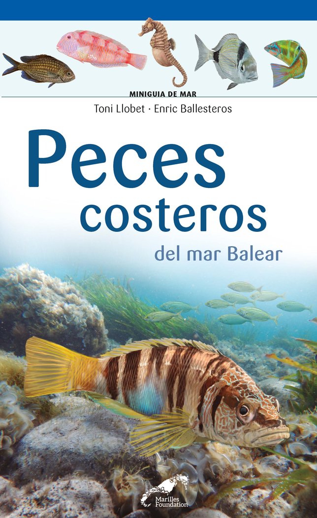Peces costeros del mar Balear, de Ballesteros Sagarra, Enric | portada del libro