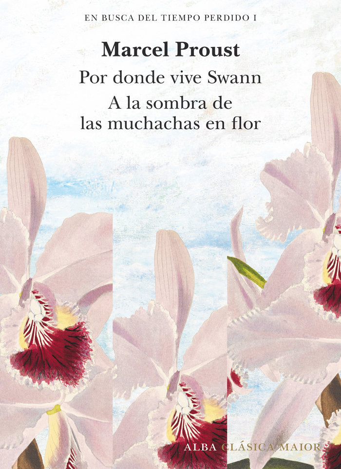 EN BUSCA DEL TIEMPO PERDIDO I, de MARCEL PROUST | portada del libro