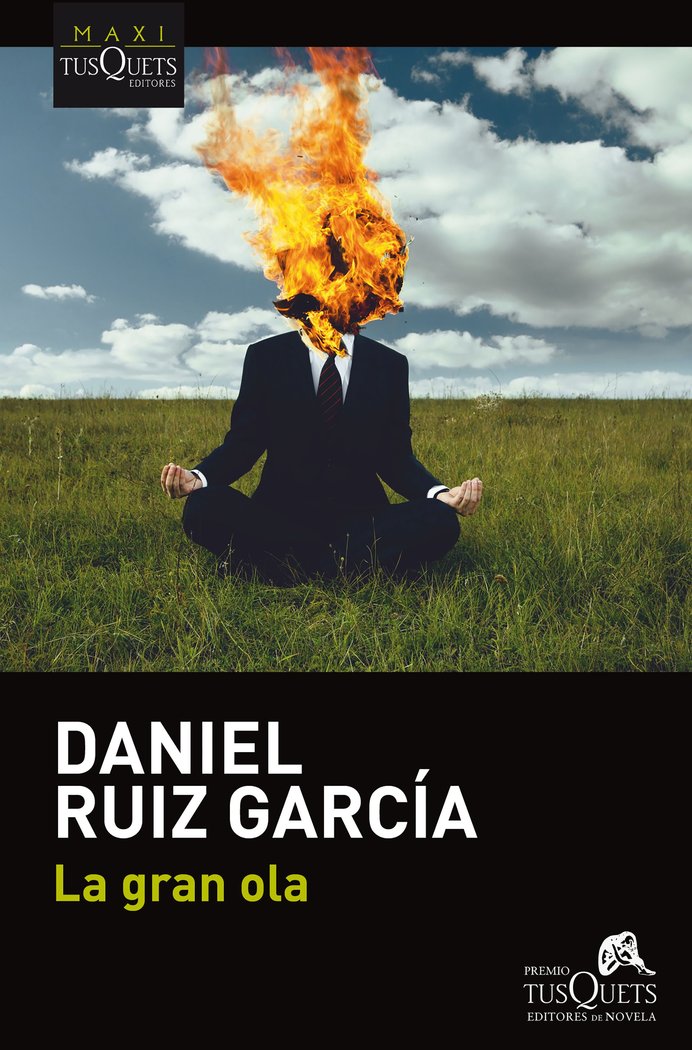 La gran ola, de Ruiz, Daniel | portada del libro