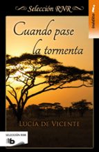 Cuando pase la tormenta, de Lucía de Vicente | portada del libro