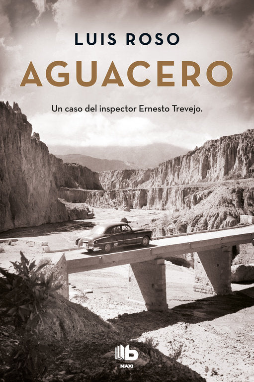 Aguacero (Inspector Trevejo 1), de Roso | portada del libro