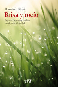 Brisa y rocío, de Ulibarri Fernández, Florentino | portada del libro