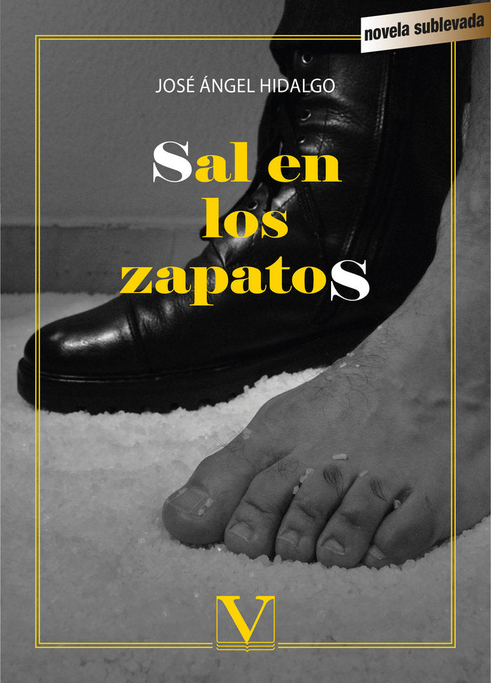 Sal en los zapatos, de José Ángel Hidalgo | portada del libro