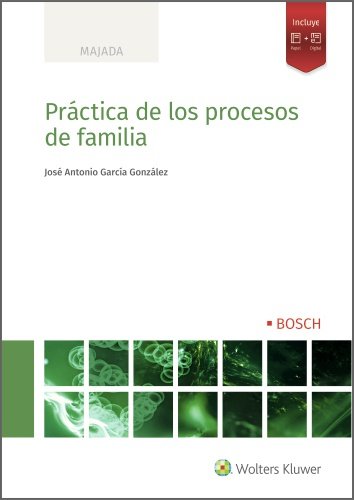 PRACTICA DE PROCESOS DE FAMILIA, de GARCIA GONZALEZ,JOSE ANTONIO | portada del libro