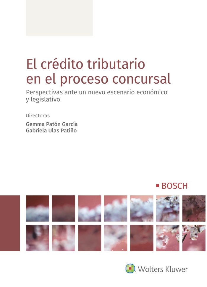 EL CREDITO TRIBUTARIO EN EL PROCESO CONCURSAL, de PATON GARCIA,GEMMA | portada del libro