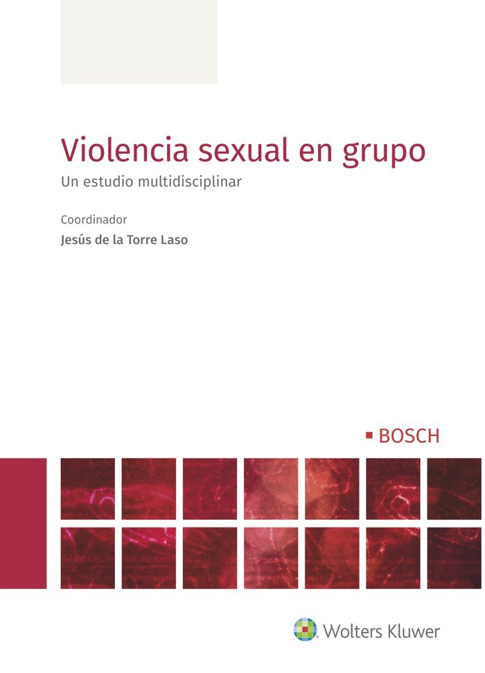 VIOLENCIA SEXUAL EN GRUPO, de JESUS DE LA TORRE LASO | portada del libro