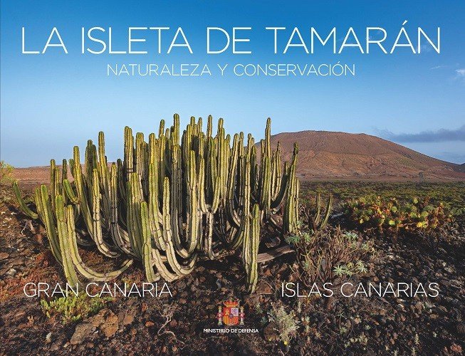 LA ISLETA DE TAMARAN, de LAZARO SANCHEZ PINTO#ROBERTO DE ARMAS | portada del libro