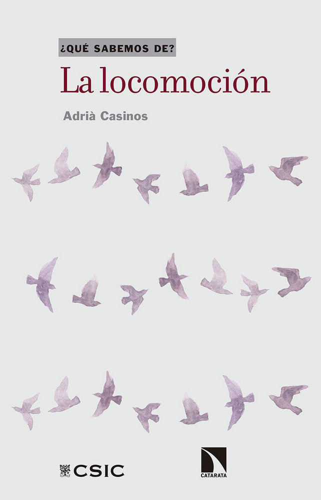 La locomoción, de Casinos Pardos, Adrià | portada del libro