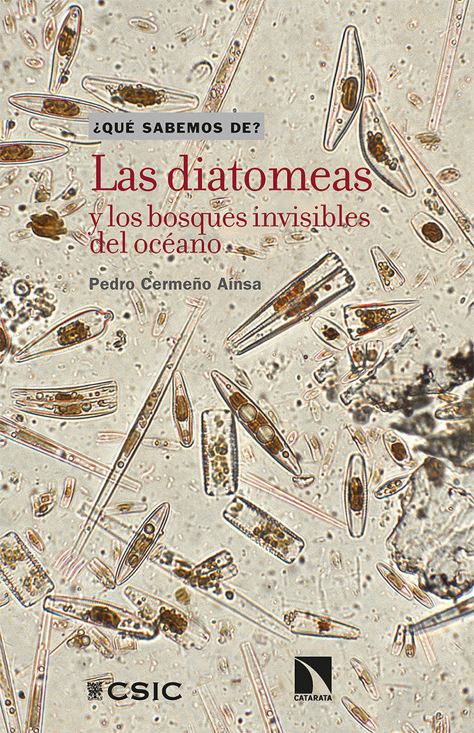 Las diatomeas y los bosques invisibles del océano, de Cermeño Aínsa, Pedro | portada del libro