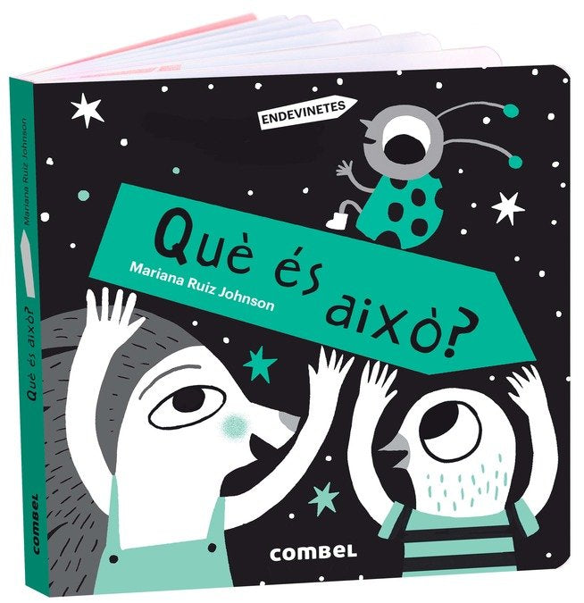 QUE ES AIXO, de RUIZ JOHNSON, MARIANA | portada del libro