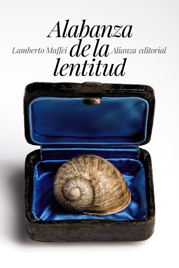 Alabanza de la lentitud, de Maffei, Lamberto | portada del libro
