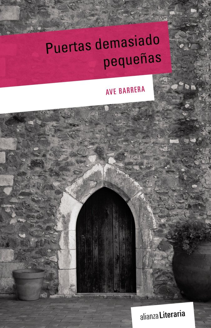 Puertas demasiado pequeñas, de Barrera, Ave | portada del libro