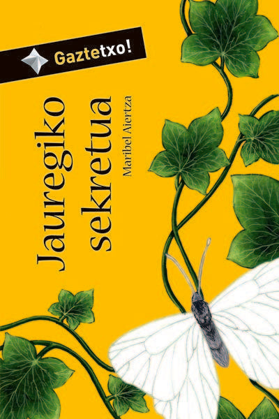 Jauregiko sekretua, de Aiertza Rementeria, Maribel | portada del libro