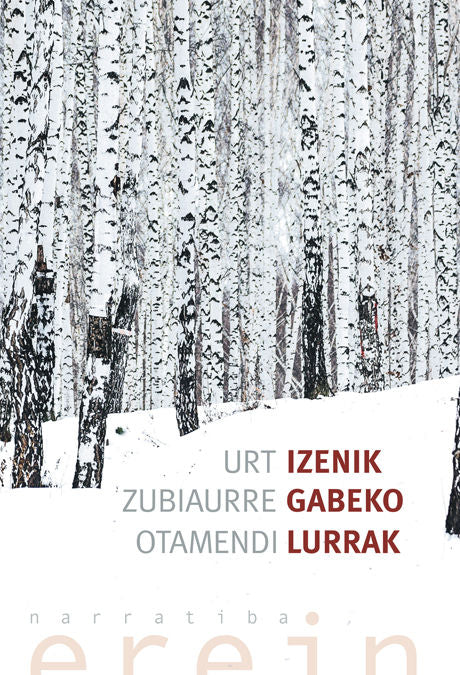 Izenik gabeko lurrak, de URT ZUBIAURRE OTAMENDI | portada del libro