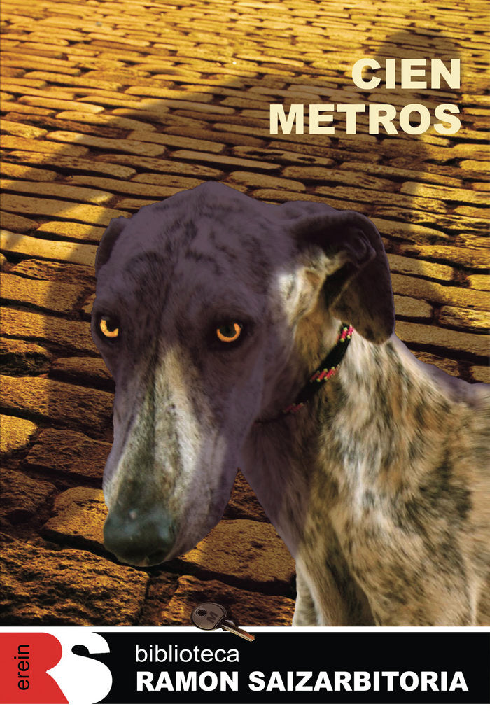 Cien metros, de Ramon Saizarbitoria | portada del libro