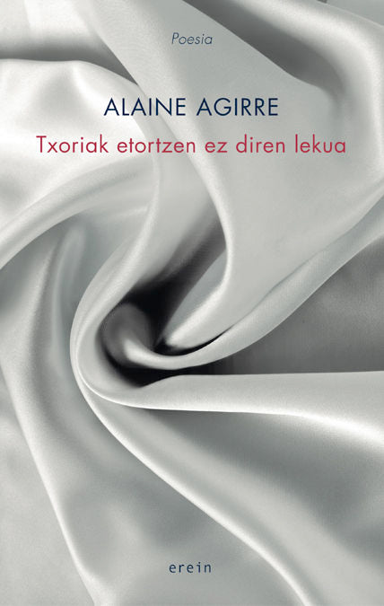 Txoriak etortzen ez diren lekua, de Alaine Agirre Garmendia | portada del libro