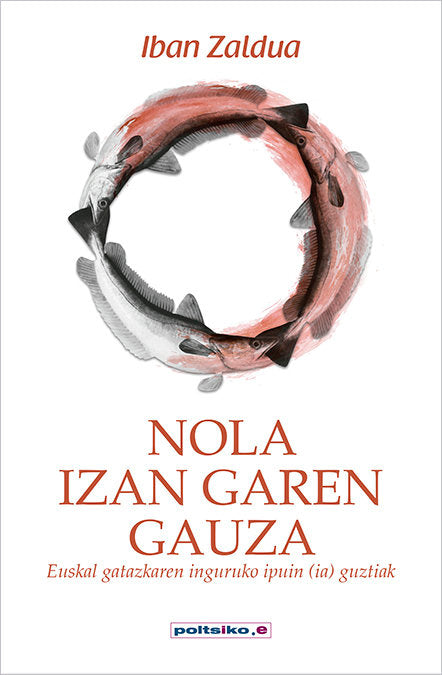 Nola izan garen gauza, de ZALDUA, IBAN | portada del libro