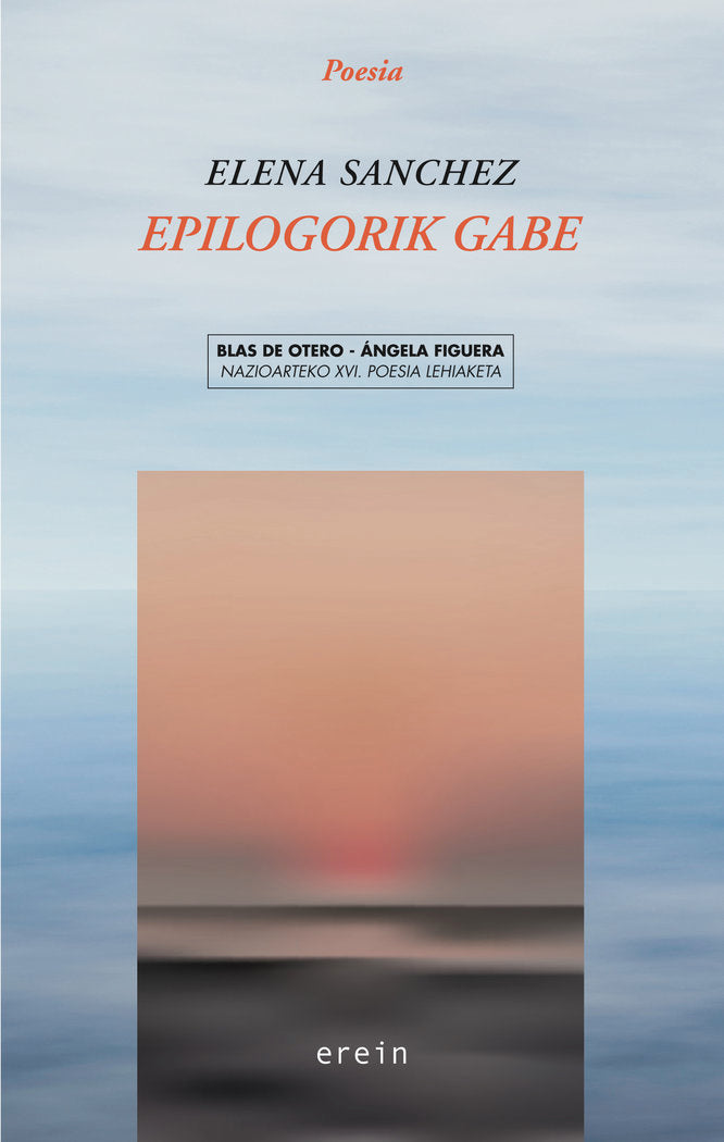 Epilogorik gabe, de SANCHEZ FUERTES, ELENA | portada del libro