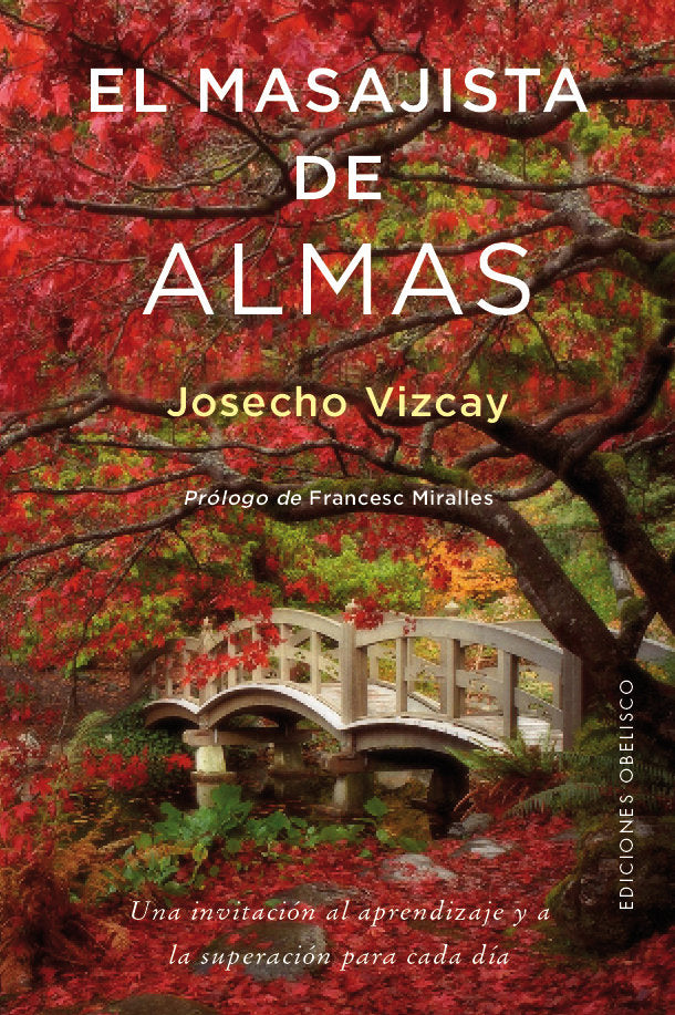 El masajista de almas, de VIZCAY ERASO, JOSECHO | portada del libro