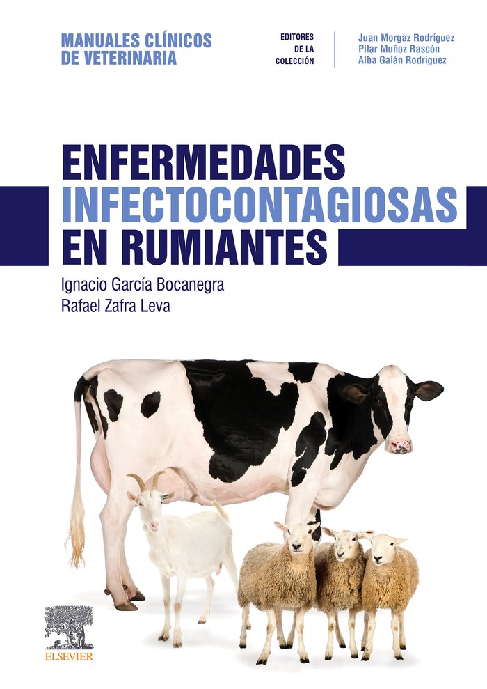 Enfermedades infectocontagiosas en rumiantes, de García Bocanegra, Ignacio | portada del libro