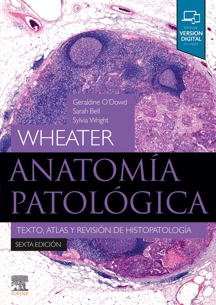 Wheater. Anatomía patológica (6.ª Ed.), de O'Dowd, Geraldine | portada del libro