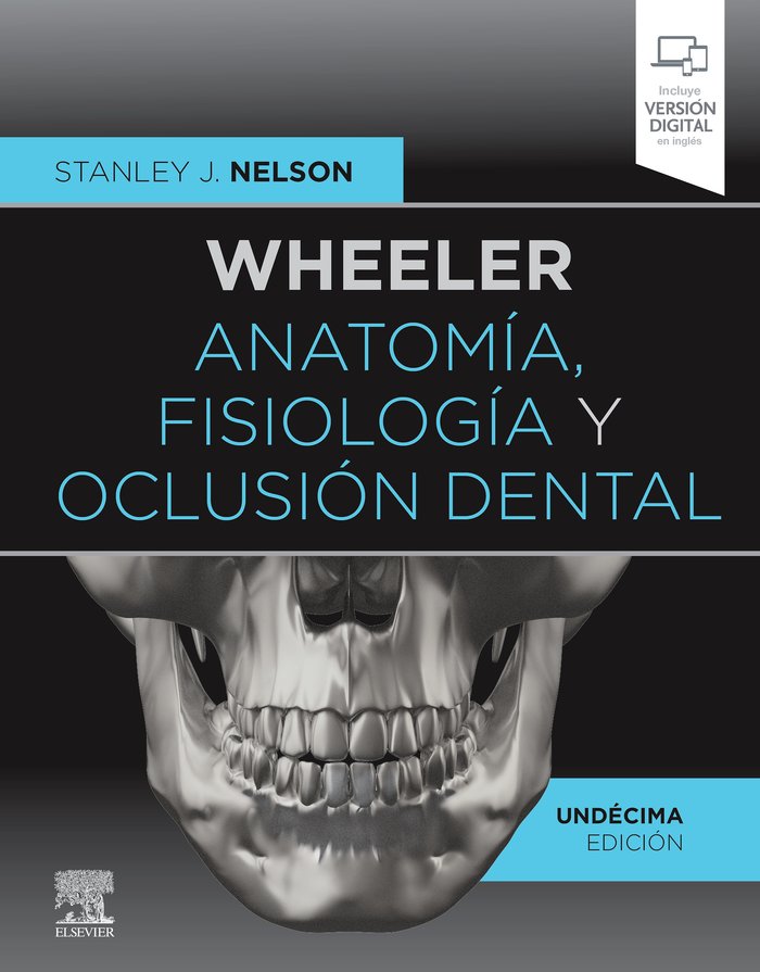 Wheeler. Anatomía, fisiología y oclusión dental (11ª ed.), de Nelson, Stanley J. | portada del libro