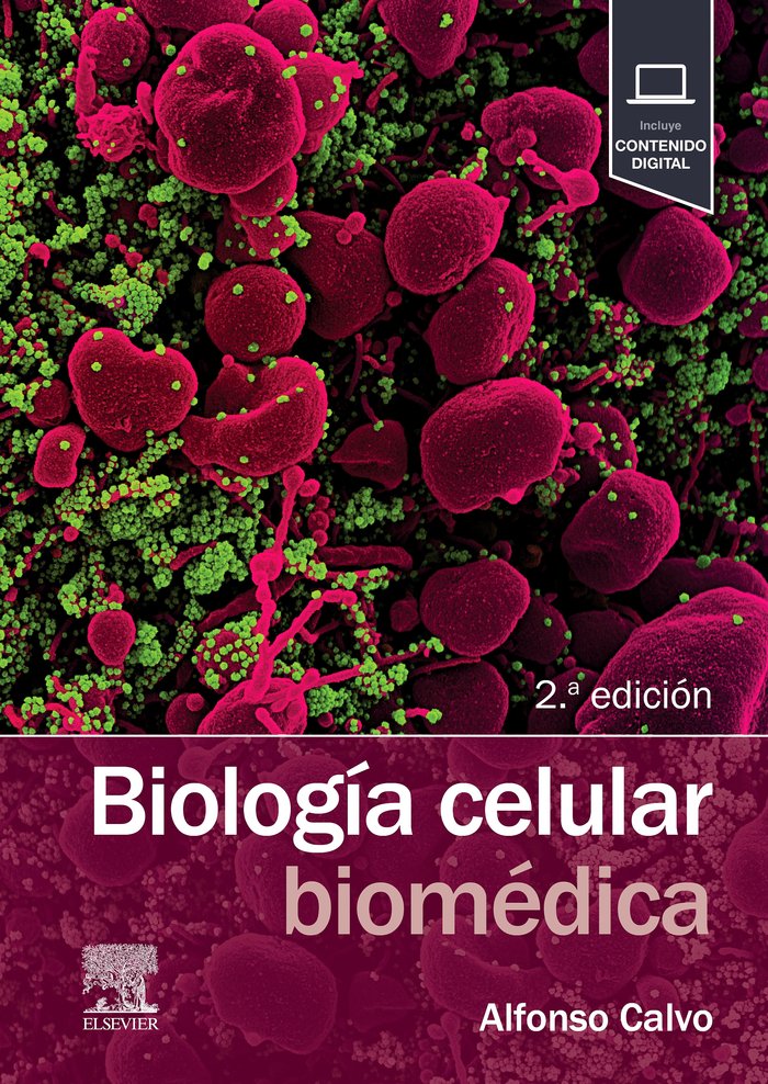 BIOLOGIA CELULAR BIOMEDICA, de CALVO GONZALEZ, ALFONSO | portada del libro