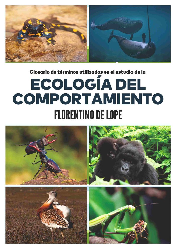 GLOSARIO DE TERMINOS UTILIZADOS EN EL ESTUDIO DE LA ECOLOGIA DEL, de LOPE REBOLLO,FLOREN | portada del libro