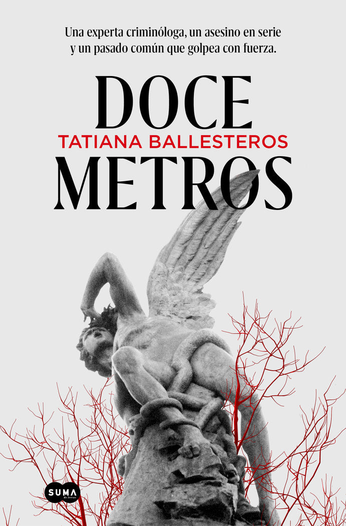 DOCE METROS, de BALLESTEROS, TATIANA | portada del libro