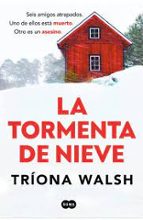 Tormenta de nieve, de Tríona Walsh | portada del libro