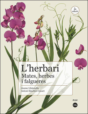 L'herbari: mates, herbes i falgueres (2ª Ed.), de Llistosella Vidal, Jaume | portada del libro