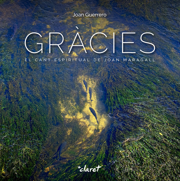 Gràcies, de Guerrero luque, Joan | portada del libro