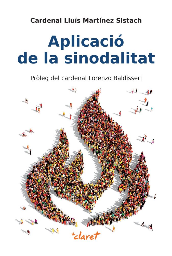 APLICACIO DE LA SINODALITAT, de MARTINEZ SISTACH, LLUIS | portada del libro